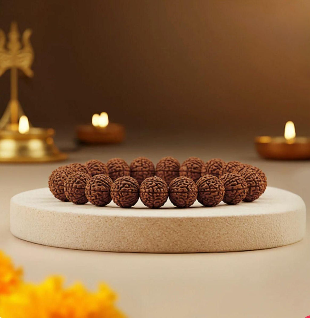 Premium 5 Mukhi Rudraksha Bracelet (50% OFF)