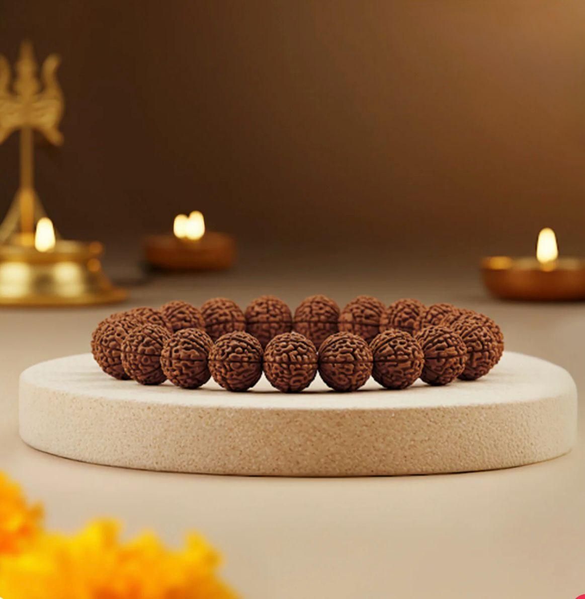 Premium 5 Mukhi Rudraksha Bracelet (50% OFF)