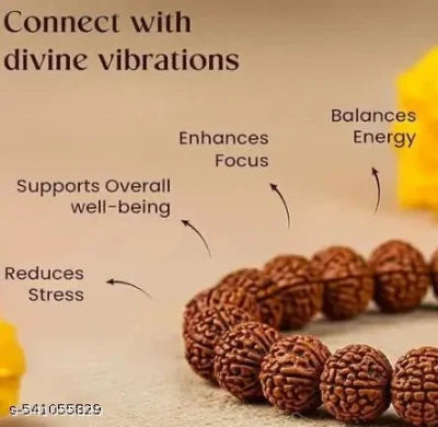 Premium 5 Mukhi Rudraksha Bracelet (50% OFF)